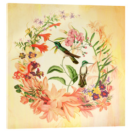 Acrylglasbild  Hummingbird II - Mandy Reinmuth