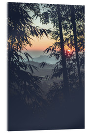 Acrylglasbild  Bambus im Sonnenuntergang