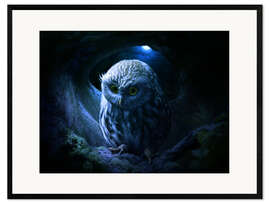 Gerahmter Kunstdruck  Little owl - Elena Dudina