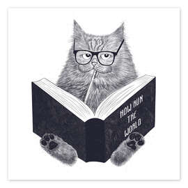 Poster Lesende Katze
