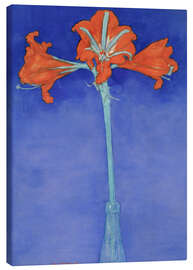 Leinwandbild  Amaryllis - Piet Mondriaan