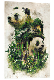 Acrylglasbild  Der Riesenpanda - Barrett Biggers