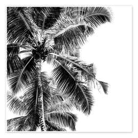 Poster  Hohe Palmen an einem tropischen Strand