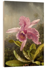 Holzbild  Kolibri und Orchidee (Detail) - Martin Johnson Heade