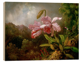 Holzbild  Orchidee in einem Dschungel - Martin Johnson Heade