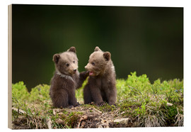 Holzbild  Zwei junge Braunbären