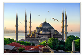 Poster  Die blaue Moschee in Istanbul