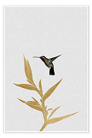 Poster  Kolibri &amp; Blume II - Orara Studio