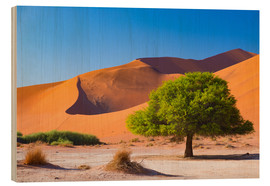 Holzbild  Sanddünen und Akazienbäume bei Sossusvlei, Namibische Wüste, Namibia - Fabio Lamanna