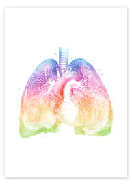 Poster Regenbogen-Lungen