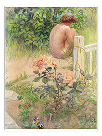 Poster  Rücken und Rose - Carl Larsson
