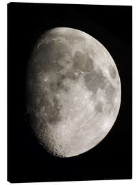 Leinwandbild  Mond (Teleskopansicht) - Ulrich Beinert