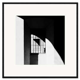 Gerahmter Kunstdruck  Die schwarze Katze - Massimo Della Latta