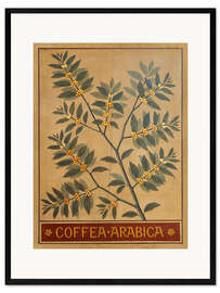 Gerahmter Kunstdruck  Arabica-Kaffee